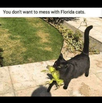 1778671916542.jpeg