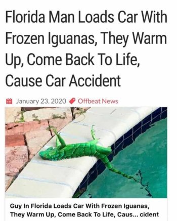 1778672100776.jpeg