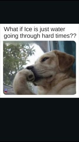 1778714773436.jpeg