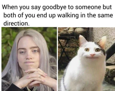 1779021149221.png