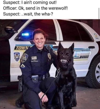 1779021751893.png