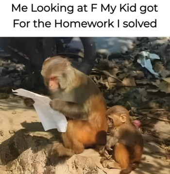 1779057733611.png