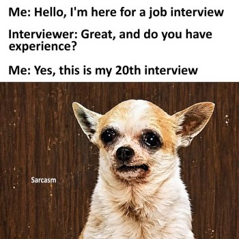 1779144560271.jpeg