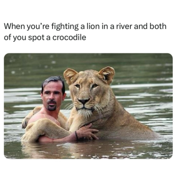 1779322974229.png