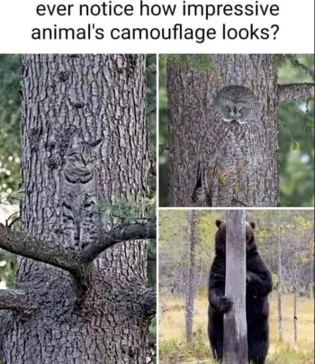 1779323025840.png