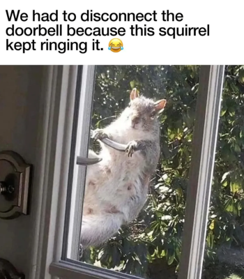 1779323154210.png