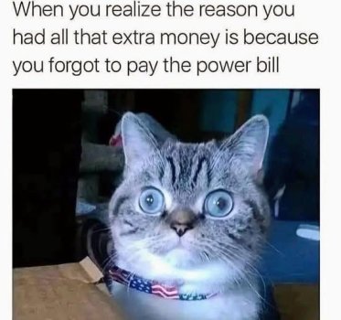 1779332110496.jpeg