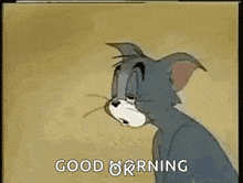 1779397532145.gif