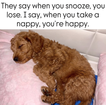 1779431746609.png