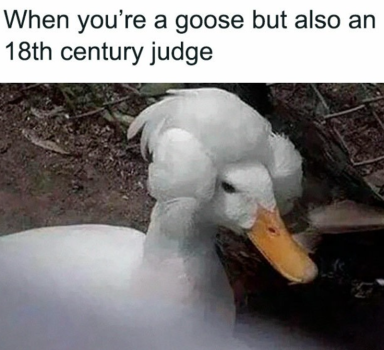 1779501848644.png