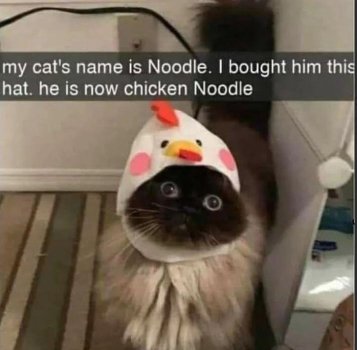 1779586126673.jpeg