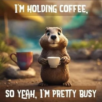 1779791538999.jpeg
