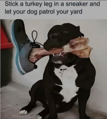 1779816437378.jpeg