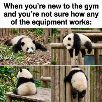 1779877497356.png