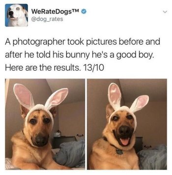 1779895163705.jpeg