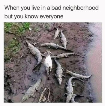 1779951581470.jpeg