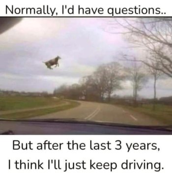 1779951648025.jpeg