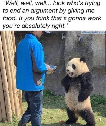 1780074607520.jpeg