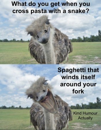1780075791644.jpeg