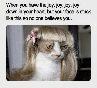 1780092672837.jpeg