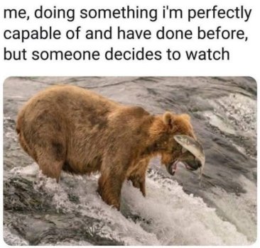 1780299454976.jpeg