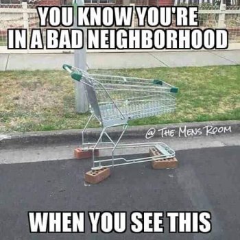 1780336484428.jpeg