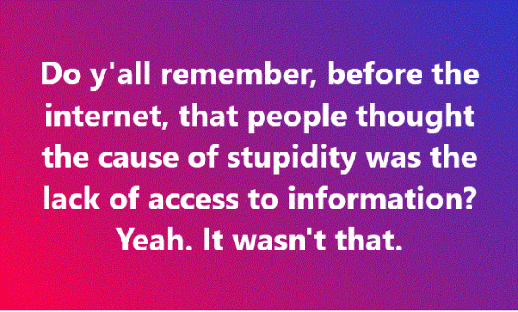 Stupid.GIF