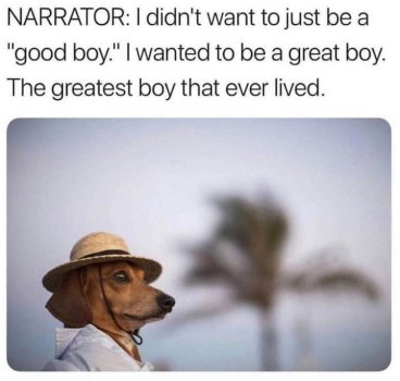 1780521502308.jpeg