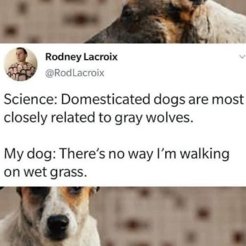 1780676680272.jpeg