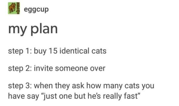 1780706009856.jpeg
