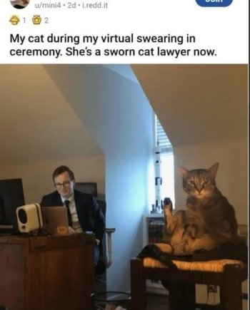 1780792952810.jpeg