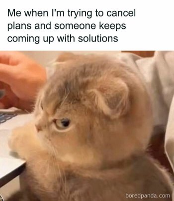 1780807599329.jpeg