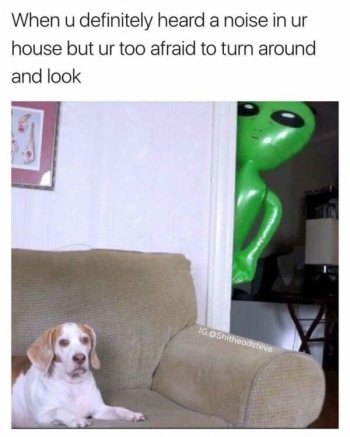 1780819367640.jpeg