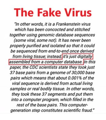 + POST The Fake Virus.jpg