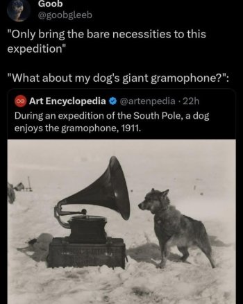 1781099925269.jpeg