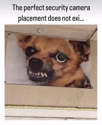 1781122302309.jpeg