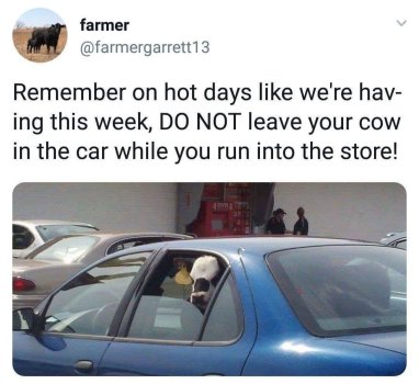 1781147364726.jpeg