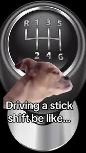 1781297823018.jpeg 1781297823018.jpeg