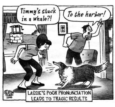 1781436884409.jpeg