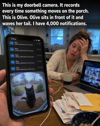 1781487450742.jpeg