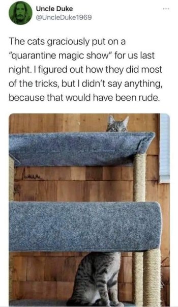 1781708644062.jpeg