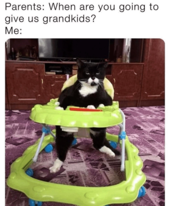1781949042387.png