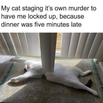 1782011263867.jpeg