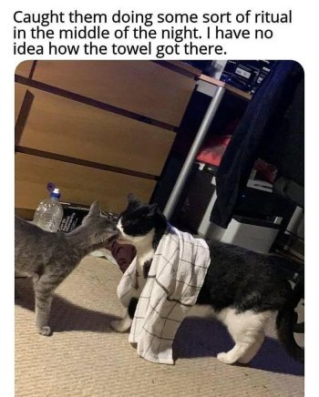 1782565633724.jpeg