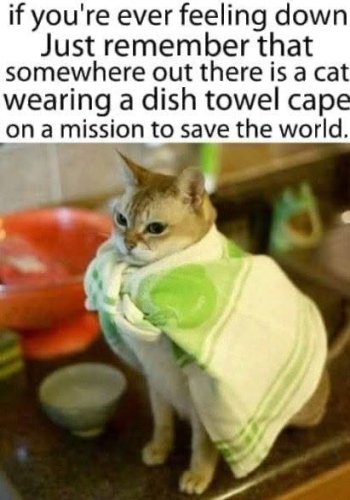1782652350217.jpeg