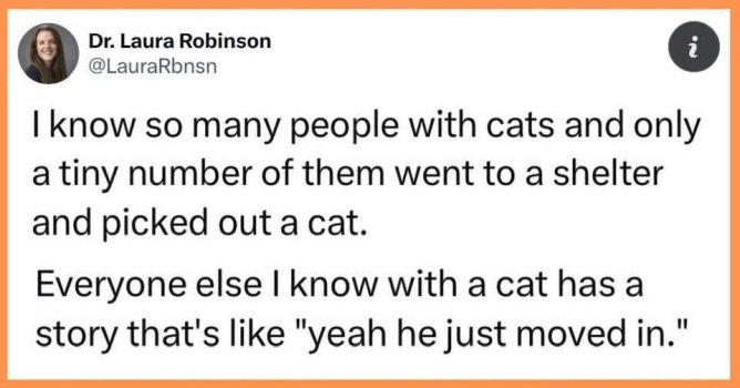 1782652531745.jpeg