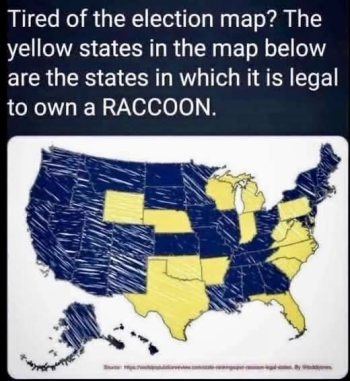 1783115177197.png