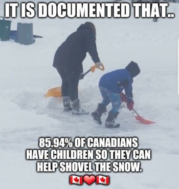 1783393392175.jpeg