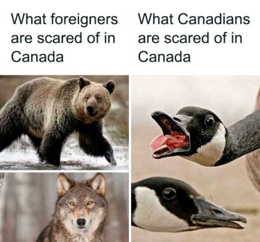 1783393430680.jpeg