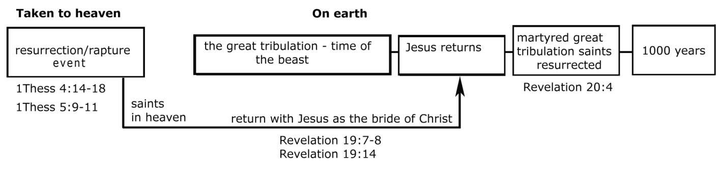 birder of Christ.png